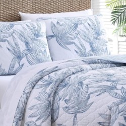 Tommy Bahama - Queen Quilt Set, Reversible Cotto Bedding with Matching Shams, Lightweight Home Decor for All Seasons (Kayo Blue, Queen)