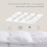 Alanzimo All Season Luxurious 50% White Goose Down Comforter Duvet Inserts Queen Size - Medium Warmth Ultra Soft 750 Fill Power White Bedding Comforter with 8 Tabs Baffle Box - 90x90 Pinch Pleat