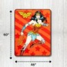 Franco Collectibles Wonder Woman Bedding Super Soft Micro Raschel Throw, 46 in x 60 in, (Official Licensed Product)