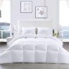 Utopia Bedding Comforter - All Season Comforters Queen Size - Plush Siliconized Fiberfill - White Bed Comforter - Box Stitched