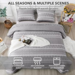 Andency Grey Queen Quilt Bedding Set, 3 Pieces (1 Striped Boho Printed Quilt 90x96 Inch and 2 Pillowcases), Bohemian Summer Lightweight Reversible Microfiber Bedspread Coverlet Sets