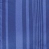 Amazon Basics Lightweight Microfiber Bed-in-a-Bag Comforter 5-Piece Bedding Set, Twin/Twin XL, Blue Calvin Striped