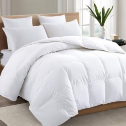 TEXARTIST Premium 2100 Series Queen Comforter All Season Breathable Cooling White Comforter Soft 4D Spiral Fiber Quilted Down Alternative Duvet with Corner Tabs Luxury Hotel Style (88"x88")