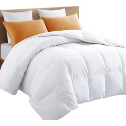 TEXARTIST Premium 2100 Series Queen Comforter All Season Breathable Cooling White Comforter Soft 4D Spiral Fiber Quilted Down Alternative Duvet with Corner Tabs Luxury Hotel Style (88"x88")