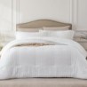 White Queen Comforter Set - 3 Pieces Seersucker Lightweight Bedding Comforter Sets (1 Soft Fluffy Comforter & 2 Pillowcases) - All Seasons Cozy Modern Bed Sets