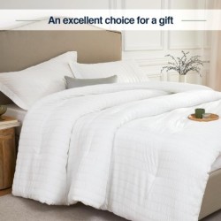 White Queen Comforter Set - 3 Pieces Seersucker Lightweight Bedding Comforter Sets (1 Soft Fluffy Comforter & 2 Pillowcases) - All Seasons Cozy Modern Bed Sets